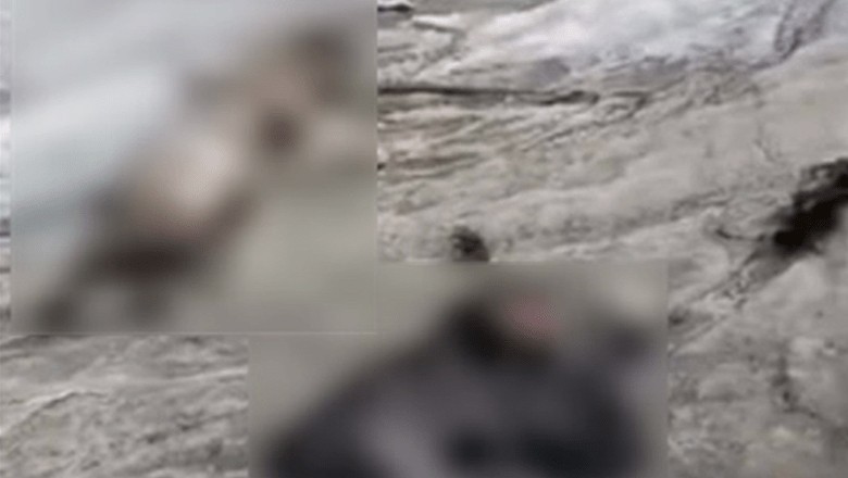 لاپتہ پاکستانی شہری کی کی 28 سال بعد لاش صحیح حالت میں برآمد