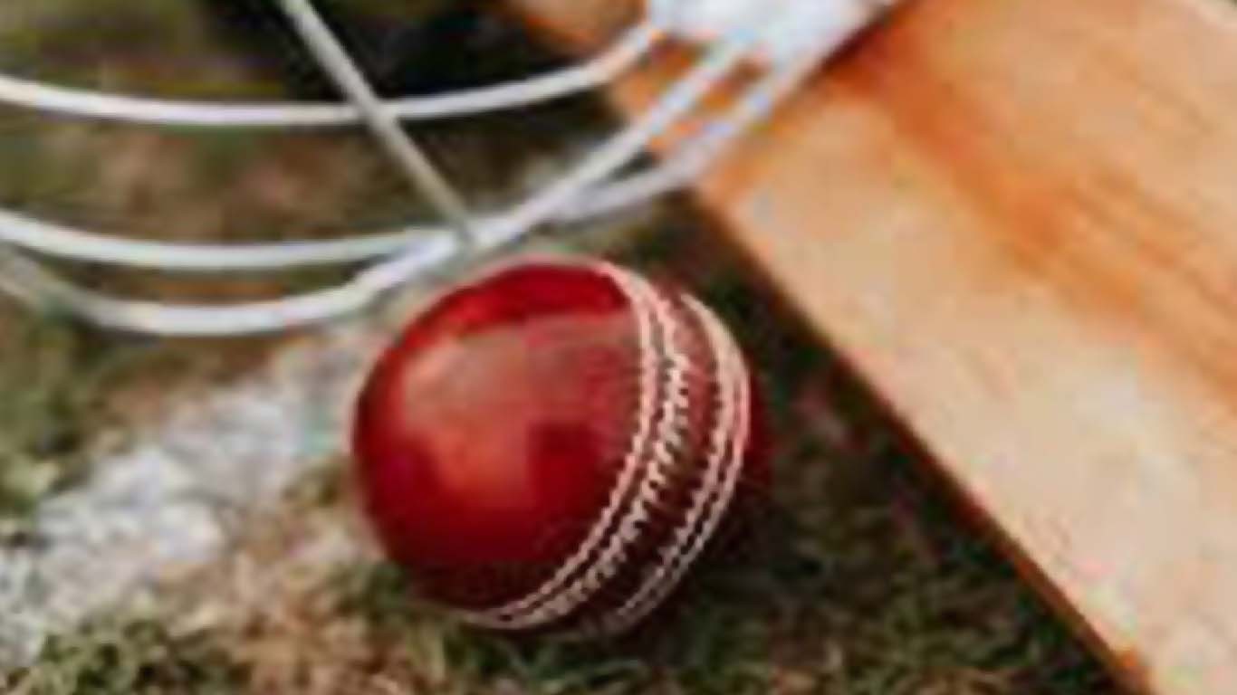 کرکٹ میچ میں اوور نہ دینے پر گولیاں چل گئیں، 2 بھائی قتل