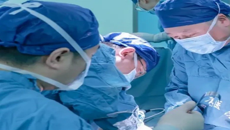 چین میں خنزیر کا پھیپڑا انسانی کو لگانے کا کامیاب تجربہ