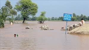 پاکستان میں بارش اور سیلاب سے اموات 841 تک پہنچ گئیں