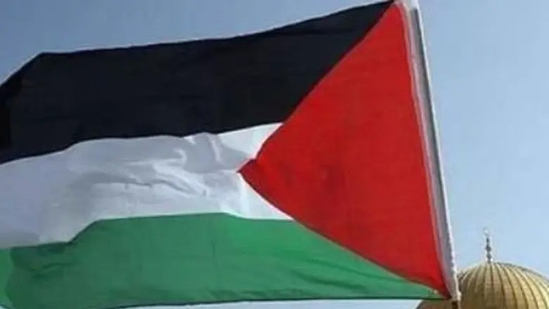 فلسطین کو ریاست تسلیم کرنے اعلان جعلی ہیں اس سے مشرق وسطی ضم ہوسکتا ہے، امریکا