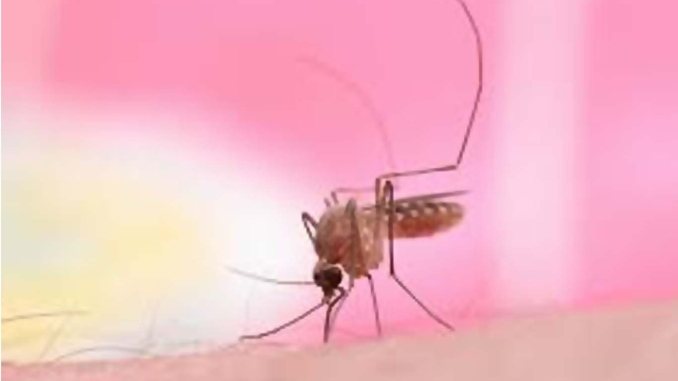 بارشوں کے بعد سندھ بھر میں ملیریا کے کیسز میں ریکارڈ اضافہ