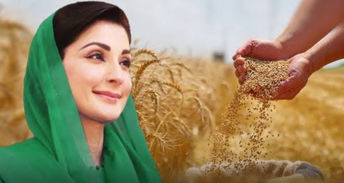 مریم نواز نے گندم کے کسانوں کو خوشخبری سنا دی