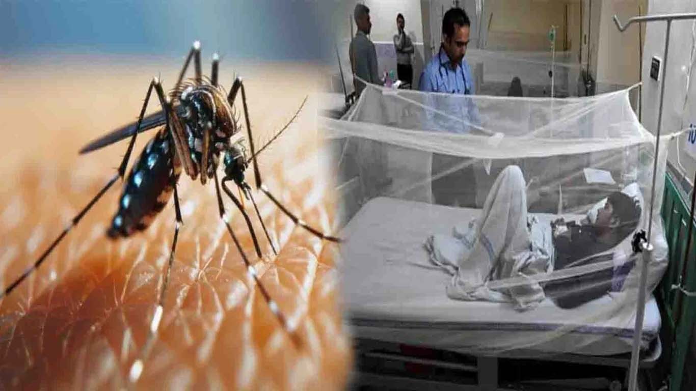 ڈینگی کی وبا میں تشویشناک حد تک اضافہ ریکارڈ