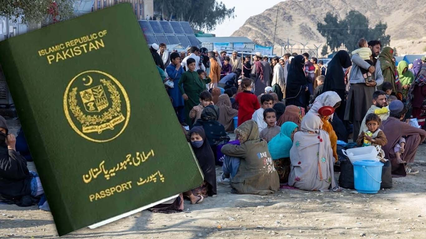 50 فیصد افغانی پاکستانی پاسپورٹ پر بیرون ملک سفر کرتے ہیں، سینیٹر کا انکشاف