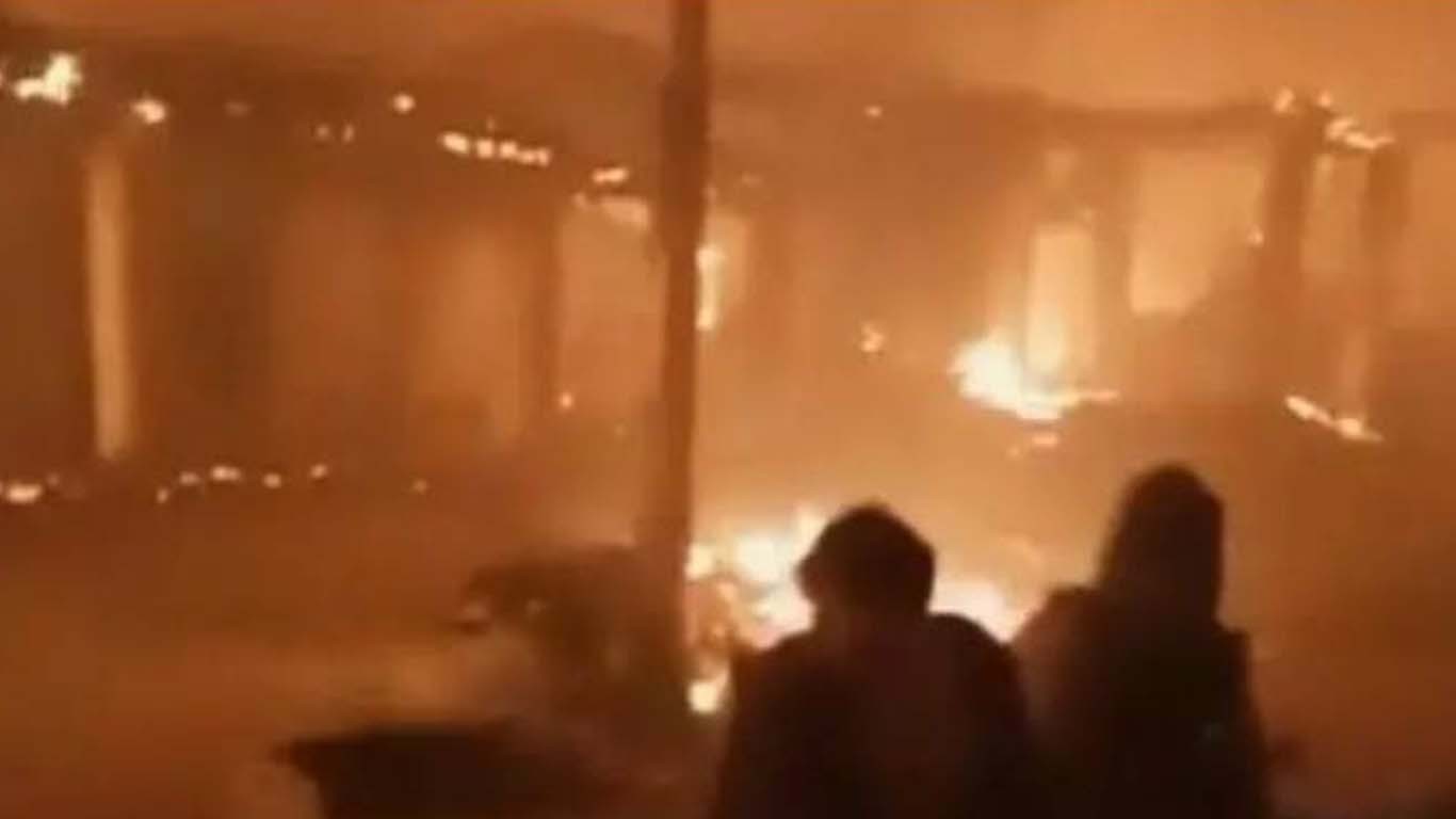 بکریاں کھیتوں میں جانے پر ملزمان کا خاتون پر تشدد، 30 بکریاں بھی ساتھ لے گئے