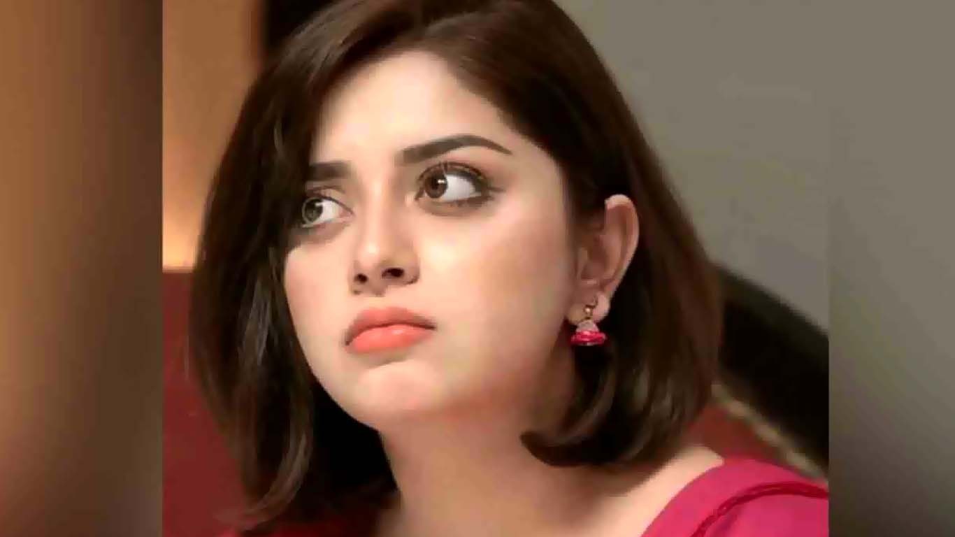 علیزے شاہ کی پوسٹ نے نئی بحث چھیڑ دی