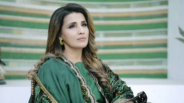 کراچی میں گلوکارہ حمیرہ چنہ کی گاڑی چوری